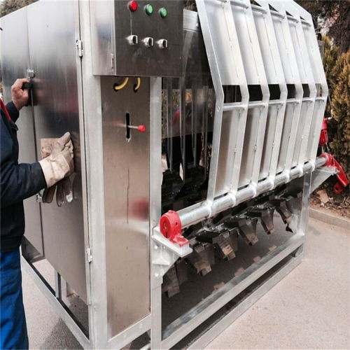 豬刨毛機專業 重慶豬刨毛機 諸城正豐機械 查看