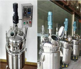 多功能攪拌反應釜 機械設計與工業應用